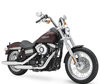 LEDs and Xenon HID conversion kits for Harley-Davidson Street Bob 1584