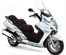 Silverwing 600