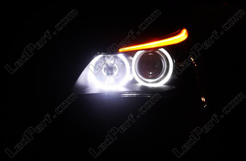 Angel Eyes à LED blanc BMW série 5 E60 - E61 Phase 1 xénon origine