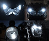 xenon white sidelight bulbs LED for Can-Am Traxter HD10 Tuning