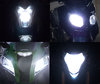 headlights LED for Harley-Davidson Iron 1200 Tuning