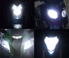 headlights LED for Harley-Davidson Iron 883 (2007 - 2015) Tuning