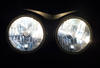 xenon white sidelight bulbs LED for Triumph Street Triple Speed Triple