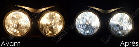 xenon white sidelight bulbs LED for Triumph Street Triple Speed Triple