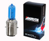 MTEC Maruta Super White S2 Motorcycle Scooter and ATV bulb