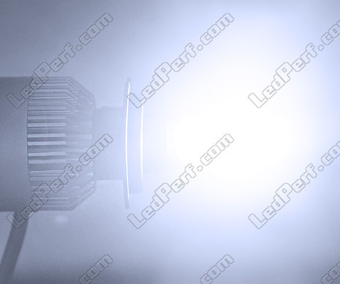 Motorcycle H1 COB LED Headlights Bulb Kit LED Haute Performance H1