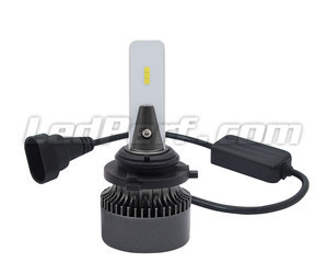 H10 LED Eco Line bulbs plug and play connection and Canbus anti-error