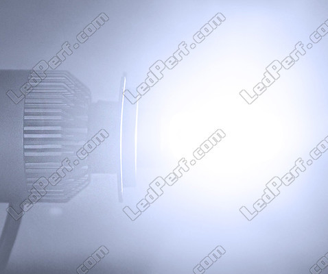 COB HS1 LED Headlights Conversion Kit