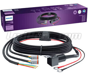 Philips Ultinon Drive UD1004W wiring harness with relay - 2 DT Connectors - 4 Pin