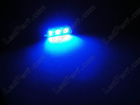 42mm 578 - 6411 - C10W LED bulb with no OBC error - Anti-OBC error Blue