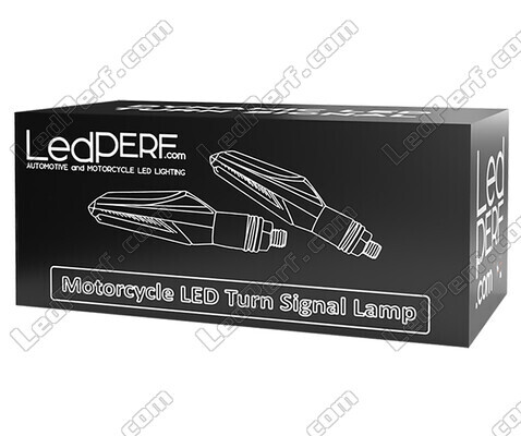 Packaging of dynamic LED turn signals + brake lights for Royal Enfield Sixty 5 500 (2002 - 2006)