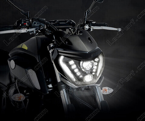 LED-Kennzeichen-Pack für Yamaha MT-07 (2018 - 2020)