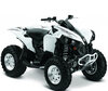 ATV Can-Am Renegade 500 G1 (2007 - 2012)
