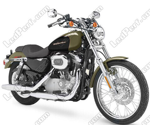 Motorcycle Harley-Davidson Custom 883 (1999 - 2009)