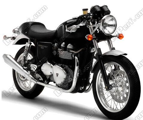 Motorcycle Triumph Thruxton 900 (2004 - 2014)