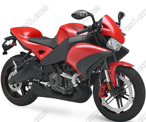Motorcycle Buell CR 1125 (2008 - 2010)