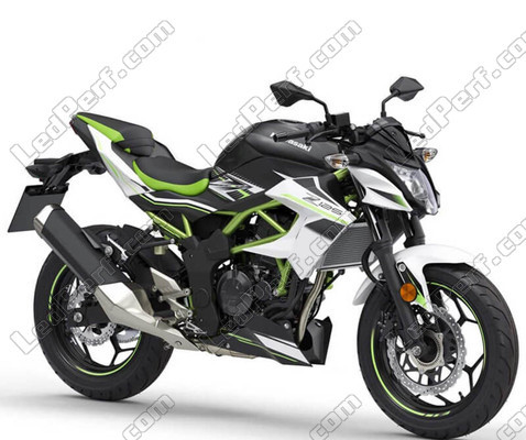 Motorcycle Kawasaki Z125 (2018 - 2023)