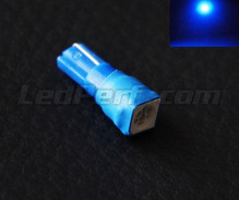 T5 37 74 Cube blue HP LED bulb (W2.1x4.9d)