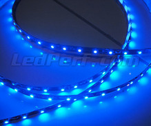 Standard 1 metre flexible strip of (60 leds SMD) blue