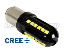 1157 - 7528 - P21/5W LED Bulb Ultimate Ultra Powerful - 24 Leds CREE - Anti OBC Error - BAY15D