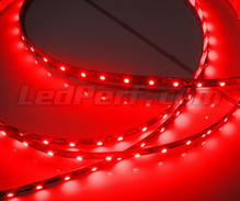 24V 1-metre red flexible strip (60 leds SMD)