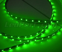 24V 50cm green flexible strip with (30 leds SMD)